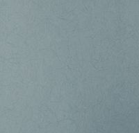 Товар: Обои Bernardo Bartalucci Legend Флизелин (1,06*10) Серый, Однотонные арт-5068-87 - фото 1 Обои Bernardo Bartalucci Legend Флизелин (1,06*10) Серый, Однотонные арт-5068-87 — фото 1, Обои