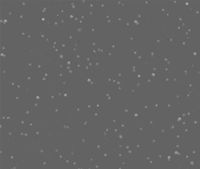 Обои Marburg Ulf Moritz Wall Couture арт-52232 — фото 1, Обои