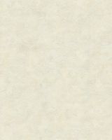 Обои Emiliana Parati Damasco Reale Винил на флизелине (1,06*10,05) Бежевый/Золото, Штукатурка арт-73415 — фото 1, Обои