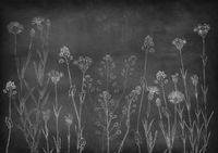 Обои Coordonne Instant арт-8500102 — фото 1, Обои