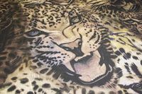 Обои Roberto Cavalli Home 8 арт-RC19103 — фото 3, Обои