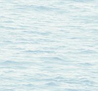 Обои Wallquest Yacht Club арт-YC61702 — фото 1, Обои