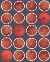 Обои Cole & Son Fornasetti Senza Tempo арт-114-24046 — фото 1, Обои