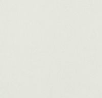 Обои Bernardo Bartalucci Legend Флизелин (1,06*10) Зеленый, Однотонные арт-5068-42 — фото 1, Обои