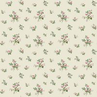 Обои York Casabella II арт-BA4583 — фото 1, Обои