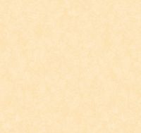 Обои Loymina Shade арт-SD3-102-1 — фото 1, Обои для стен