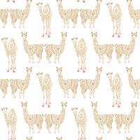 Товар: Обои York A Perfect World арт-KI0555 - фото 1 Обои York A Perfect World арт-KI0555 — фото 1, Обои