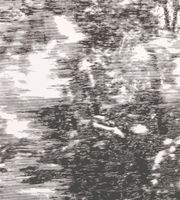 Обои Black Edition Mizumi арт-W919-01 — фото 1, Обои