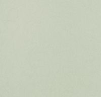 Обои Bernardo Bartalucci Legend Флизелин (1,06*10) Зеленый, Однотонные арт-5068-44 — фото 1, Обои