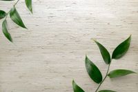 Обои Carl Robinson Edition 20 арт-CL50037 — фото 2, Обои