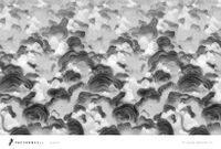 Фрески Fresq Pattern Roll арт-FUDJI26-04 — фото 1, Фрески