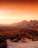 Панно Marburg Dune Винил на флизелине (2,12*2,7) Оранжевый, Пейзаж арт-32548 — фото 1, Обои для стен