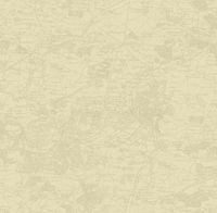 Обои Aura Forever Young арт-H2910301 — фото 1, Обои