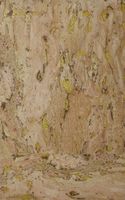 Обои Wallquest Natural Textures арт-RH6018 — фото 1, Обои