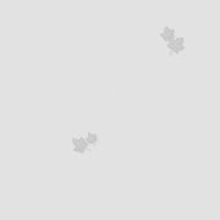 Товар: Обои Andrea Rossi Spectrum Pro Винил на флизелине (1,06*10) Серый, Листья арт-54384-4 - фото 1 Обои Andrea Rossi Spectrum Pro Винил на флизелине (1,06*10) Серый, Листья арт-54384-4 — фото 1, Обои