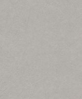 Обои Rasch Concrete арт-520255 — фото 1, Обои