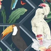 Обои Graham & Brown Explorer арт-107605 — фото 1, Обои для стен