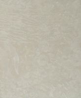 Обои Portofino Portofino Wild арт-PW115024 — фото 1, Обои