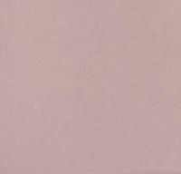 Товар: Обои Bernardo Bartalucci Legend Флизелин (1,06*10) Бежевый, Однотонные арт-5068-18 - фото 1 Обои Bernardo Bartalucci Legend Флизелин (1,06*10) Бежевый, Однотонные арт-5068-18 — фото 1, Обои