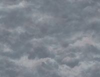 Обои Mayflower Aerial арт-WMAFJ080219 — фото 1, Обои