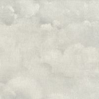 Товар: Обои AS Creation Luxury Damask Винил на флизелине (1,06*10,05) Бежевый/Серый, Облака арт-38895-5 - фото 1 Обои AS Creation Luxury Damask Винил на флизелине (1,06*10,05) Бежевый/Серый, Облака арт-38895-5 — фото 1, Обои