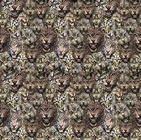 Обои Roberto Cavalli Home 8 арт-RC19104 — фото 1, Обои