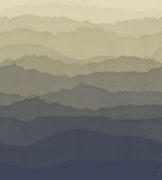 Обои Zoffany Muse арт-312732 — фото 1, Обои