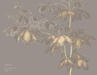 Фрески Applico Four арт-0046-Br1 — фото 1, Фрески