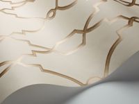 Обои Cole & Son Folie арт-99-2010 — фото 2, Обои