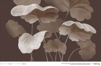 Фрески Fresq Classic Collection арт-JVS09 — фото 5, Фрески