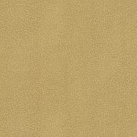 Обои Roberto Cavalli Home 8 арт-RC19017 — фото 1, Обои