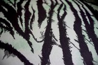 Обои Roberto Cavalli Home 8 арт-RC19126 — фото 4, Обои