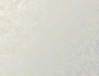 Обои Tiffany Designs Metal Silk арт-MS61 — фото 1, Обои