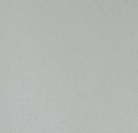 Обои Bernardo Bartalucci Legend Флизелин (1,06*10) Серый, Однотонные арт-5068-70 — фото 1, Обои для стен