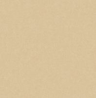 Обои Trendsetter Roy арт-RY1012 — фото 1, Обои