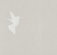 Обои Bernardo Bartalucci Legend Флизелин (1,06*10) Серый/Бежевый, Птицы арт-5071-2 — фото 1, Обои