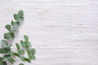 Обои Carl Robinson Edition 20 арт-CL50028 — фото 2, Обои