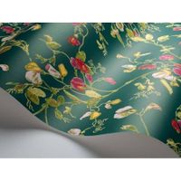 Обои Cole & Son Botanical арт-115-11033 — фото 3, Обои