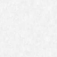 Обои Bernardo Bartalucci Bigi Флизелин (1,06*10) Голубой, Штукатурка арт-5067-11 — фото 1, Обои