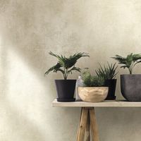 Обои Marburg Rainbow 3 арт-59608 — фото 3, Обои для стен