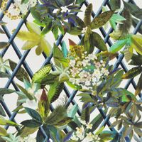 Обои Christian Lacroix Nouveaux Mondes арт-PCL661-07 — фото 1, Обои