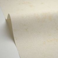 Обои Caselio Ceramique арт-105250020 — фото 2, Обои для стен