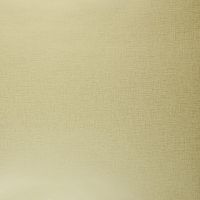 Обои Clarke & Clarke Showstoppers арт-W0006-21 — фото 1, Обои