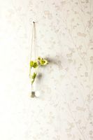 Обои Khroma Zoom Lotus арт-LOT401 — фото 2, Обои