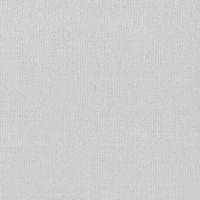 Обои Andrea Rossi Spectrum max Винил на флизелине (1,06*10) Серый, Однотонные арт-54359-7 — фото 1, Обои для стен