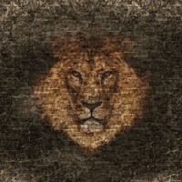 Обои Loymina Illusion арт-DM-039 — фото 1, Обои