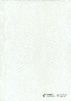 Обои Carlucci di Chivasso Curious арт-CA9092-091 — фото 1, Обои