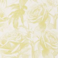 Обои Clarke & Clarke Floribunda арт-W0037-08 — фото 1, Обои