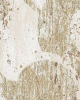 Товар: Обои Omexco Antares арт-ANT411 - фото 1 Обои Omexco Antares арт-ANT411 — фото 1, Обои