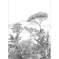 Обои Caselio Nos Gravures арт-103050978 — фото 1, Обои для стен